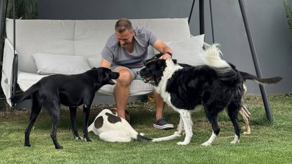 Thomas Neubert, dezvăluire șoc – 90% din infracțiuni în Germania implică imigranți