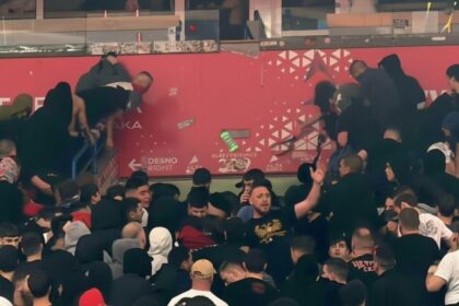 Steaua Rosie Belgrad Partizan