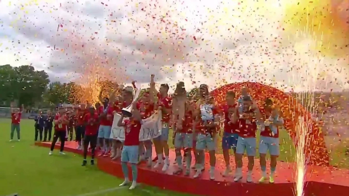 Corvinul Hunedoara Liga 2