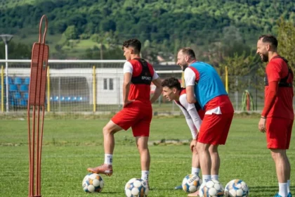 FC Hermannstadt